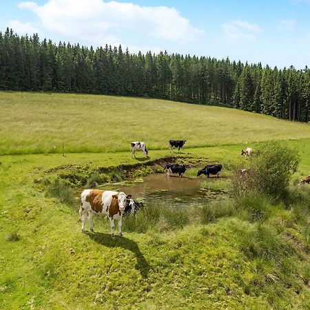 Ferienwohnung Duffner Schonach im Schwarzwald Εξωτερικό φωτογραφία