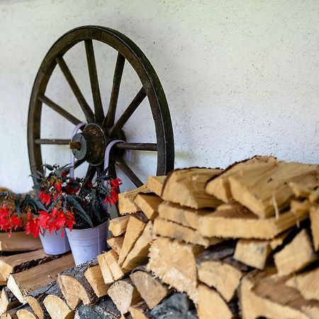 Ferienwohnung Duffner Schonach im Schwarzwald Εξωτερικό φωτογραφία