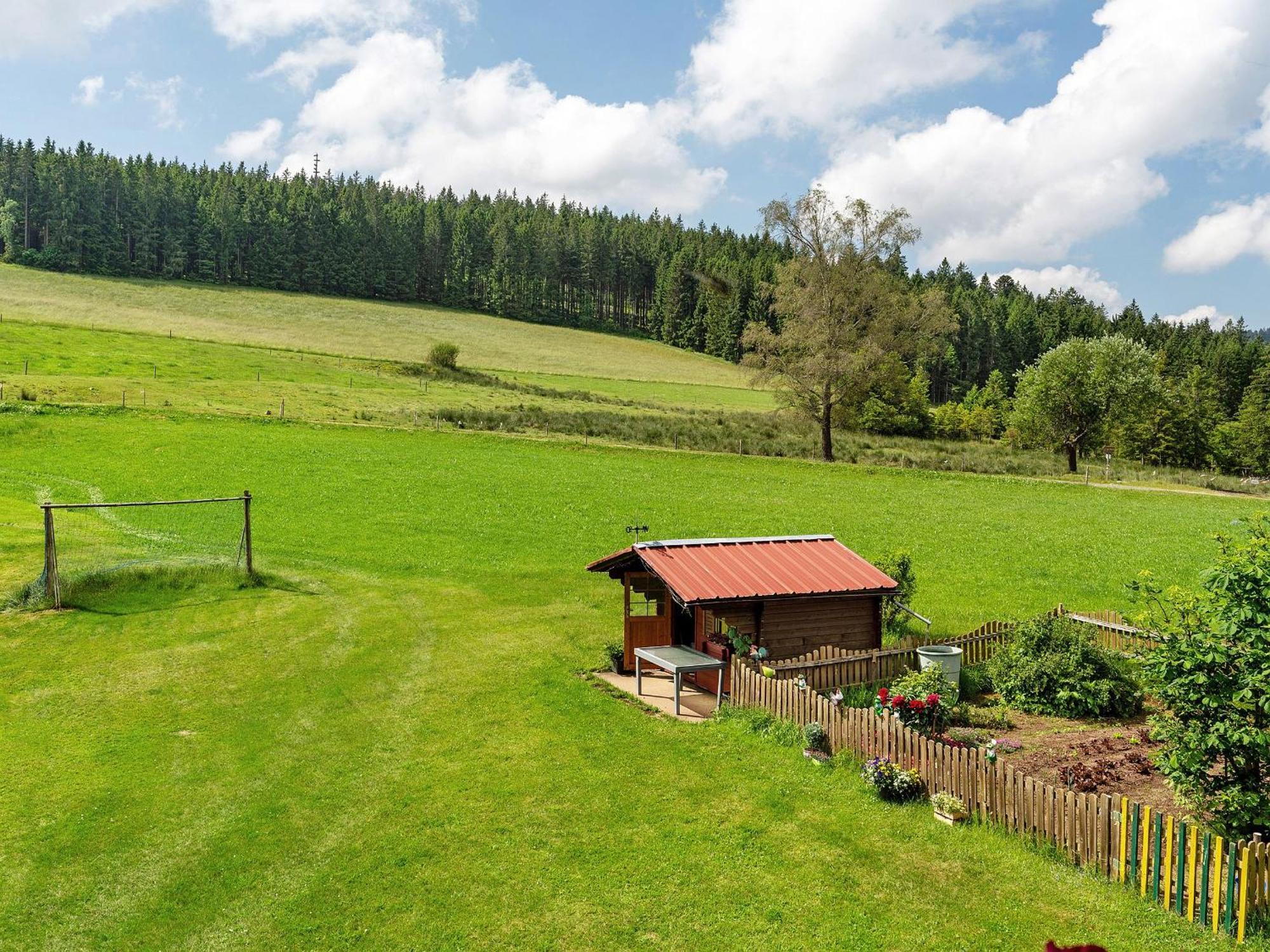 Ferienwohnungen Duffner Schonach im Schwarzwald Εξωτερικό φωτογραφία