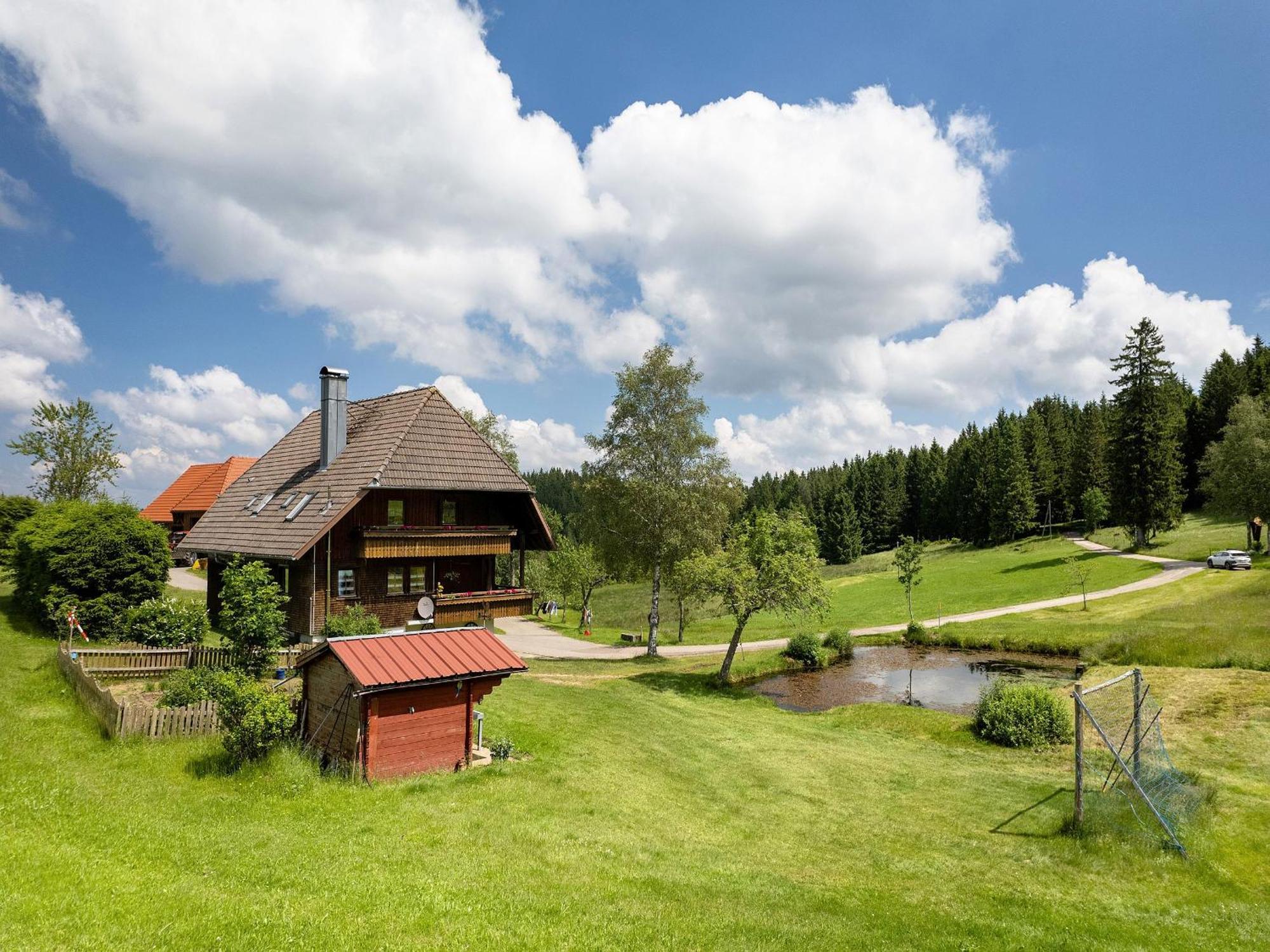 Ferienwohnungen Duffner Schonach im Schwarzwald Εξωτερικό φωτογραφία