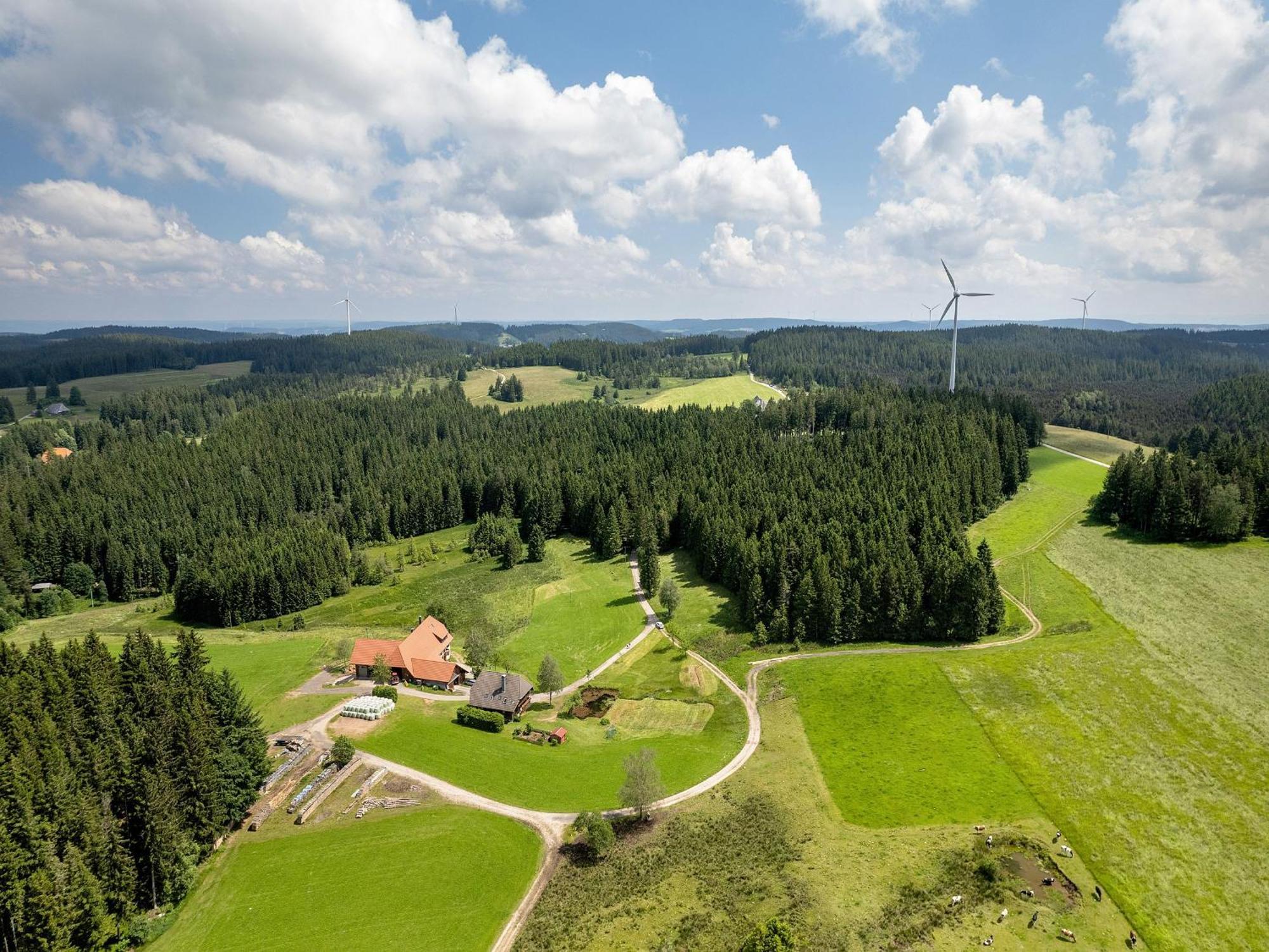 Ferienwohnungen Duffner Schonach im Schwarzwald Εξωτερικό φωτογραφία