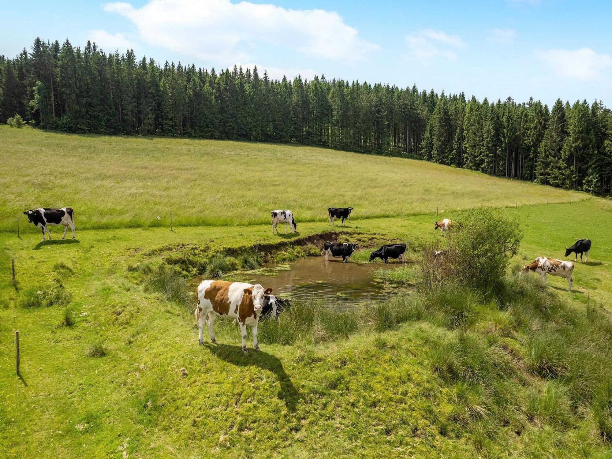 Ferienwohnung Duffner Schonach im Schwarzwald Εξωτερικό φωτογραφία