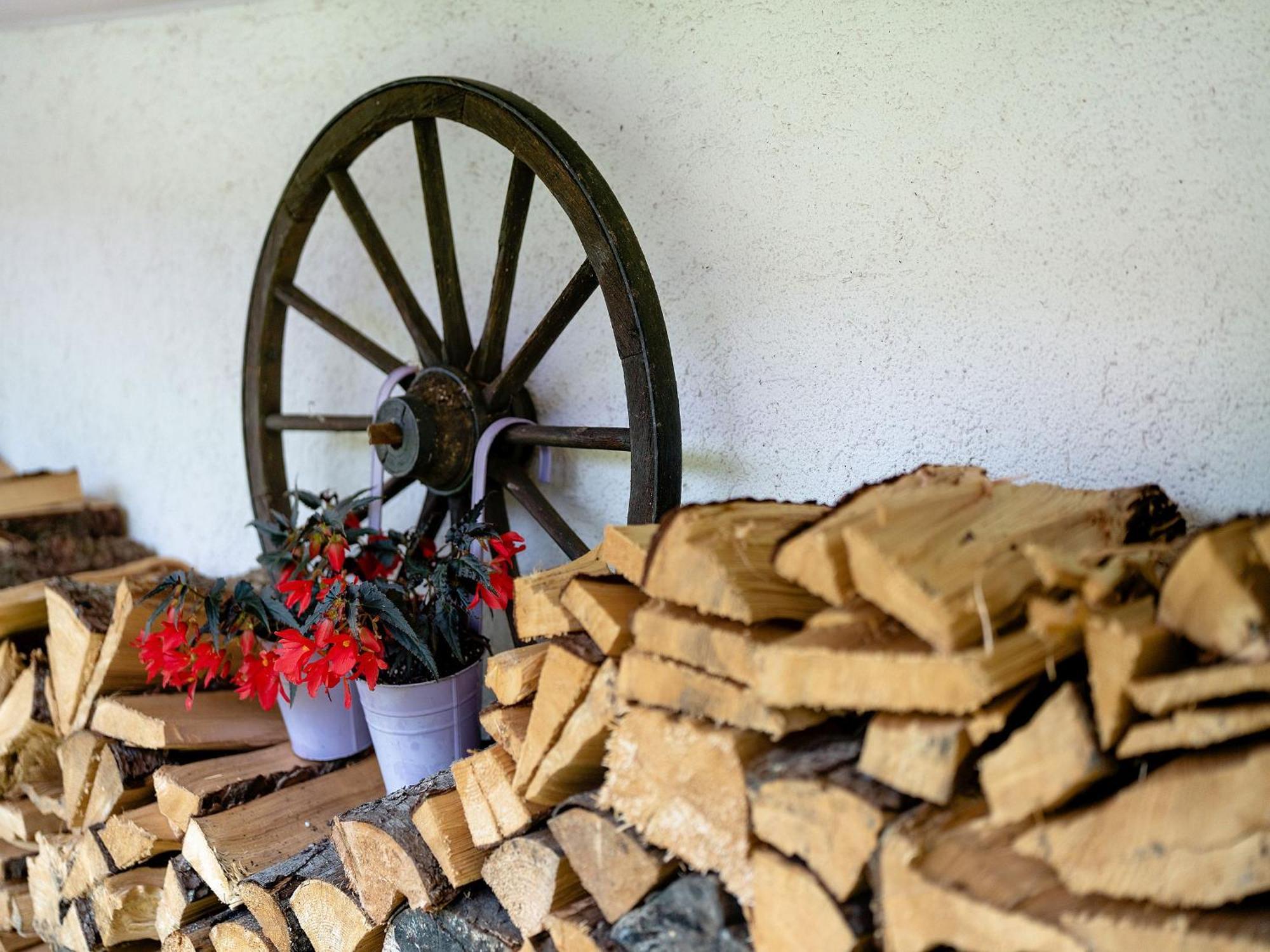 Ferienwohnung Duffner Schonach im Schwarzwald Εξωτερικό φωτογραφία