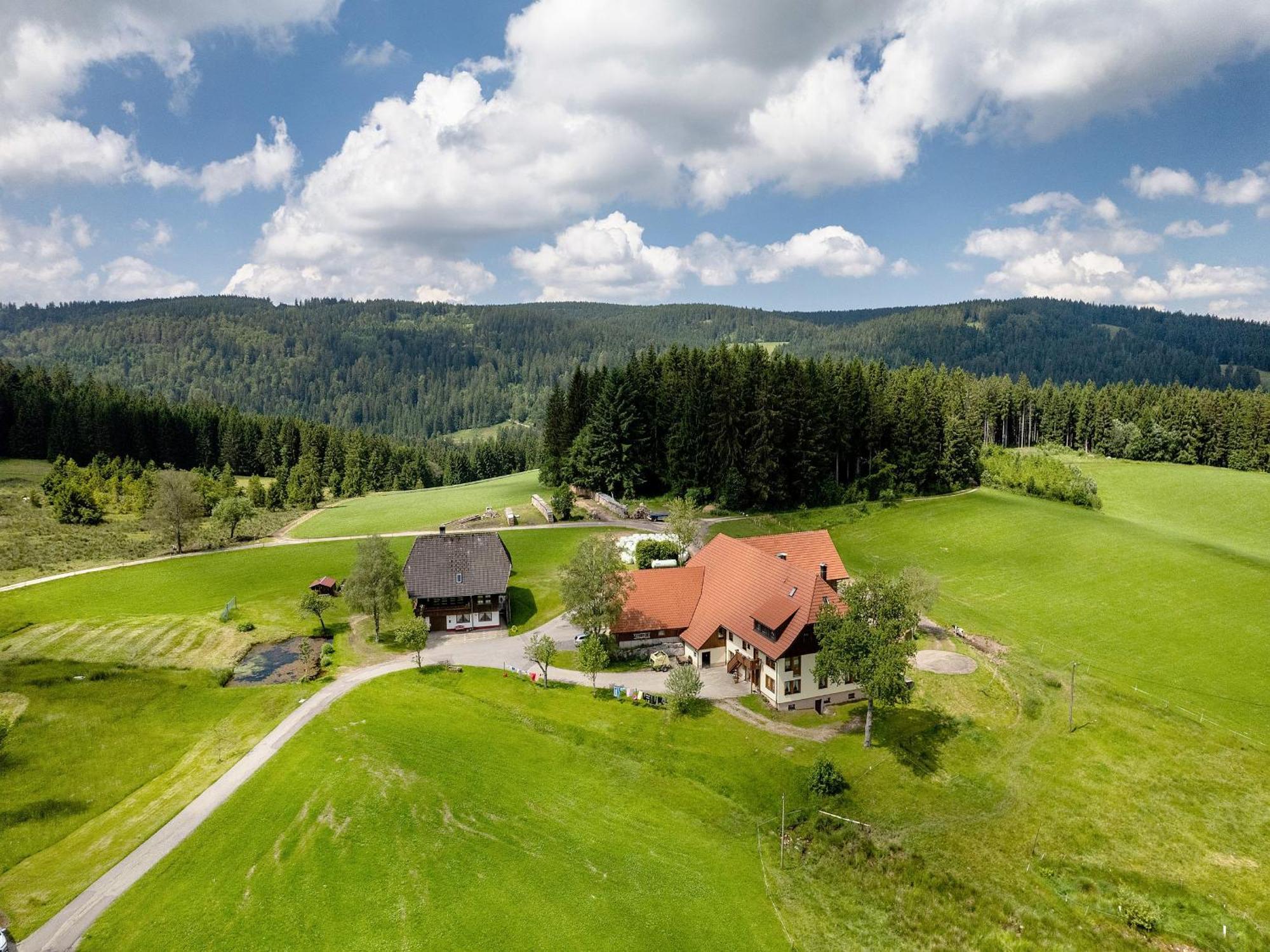 Ferienwohnung Duffner Schonach im Schwarzwald Εξωτερικό φωτογραφία